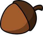 Bowl Of Nuts