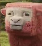 idontknowlolkskskskksksksksk