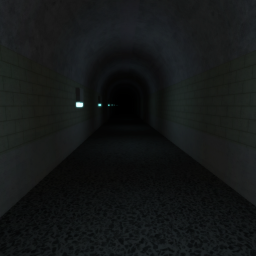 a Really Long Tunnel