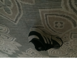 Cool shoes!!!