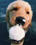 —Bunsie—