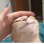 HEHEHEHEH :)))