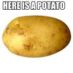 .Potato.