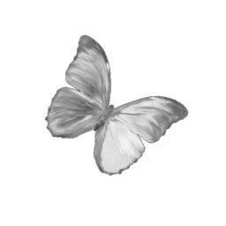 ✦ icon