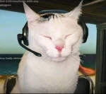 ‘pawsly Group Thumbnail