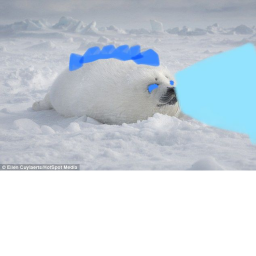 Seal Brawl: Legends of the seals (NO MORE UPDATES)