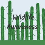 Wildlife Awareness