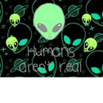 THE ALIEN HOMIES