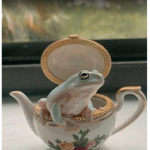 Frog Commissions