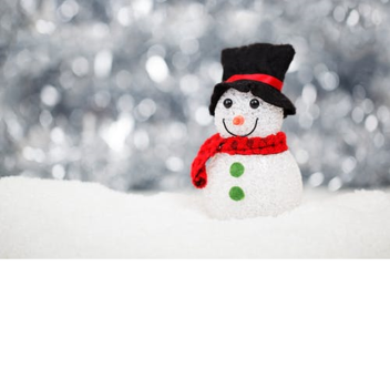 MrSnowman37's Donation Place