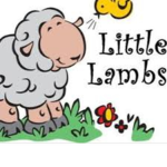 ⭐Little Lamb Daycare⭐