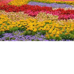 Pretty ##########