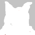 TjocFoxys Fan Group