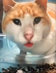 Hello it huw