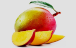 Put the Mango Down Studios