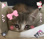 sanrio attire
