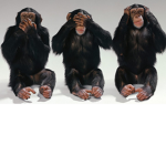 #THEMONKEY