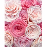 Roze army