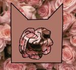 !*RoseClan*!