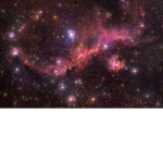 Space Animals Meeting