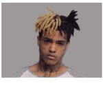dtbontop