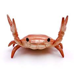 the crabby gang