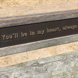 ⋆.˚