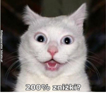rozdaję robuxy