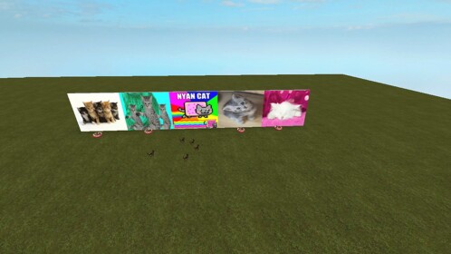 Kittys world!