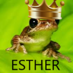 Union of Amphibia
