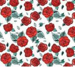 -nia & kayla's boutique-