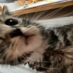 0uwy