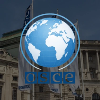 Organization for Security & Cooperation in Europe Roblox group icon