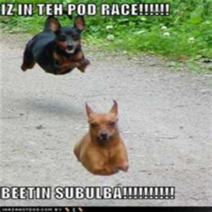 DOG VS DOG Roblox decal