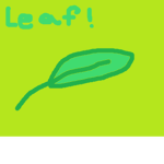 Leaf Lot
