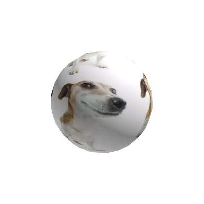 dog sphere