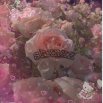 sʜxɴxᴢ
