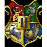 ~Harry Potter Squad~