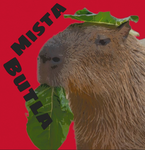 MistaButla’s Dev Group