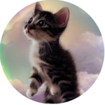 KITTENMEOWMEOWMEOW