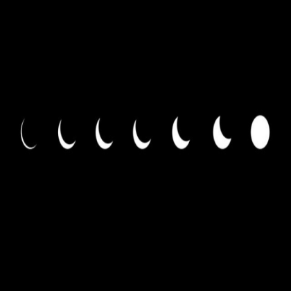 Black & White Aesthetic Roblox decal