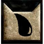 Warrior Cats of Rain