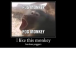 BADASS MONKES