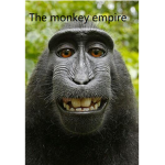 The monkey empire .