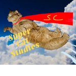 Super | Cat | Studios