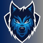 Blue Wolf Gamer