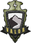 Valor