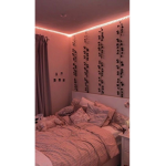 Inesplays