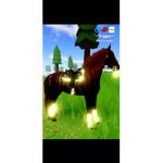 Roosevelt western riders