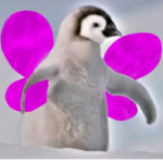 pinguini volanti